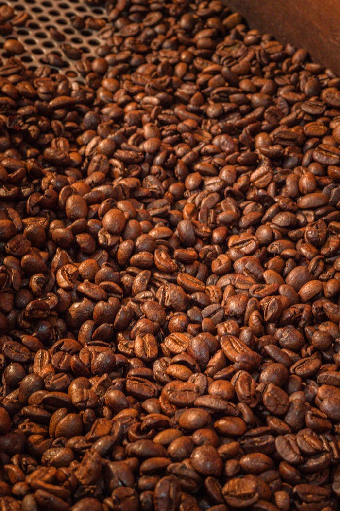 Detailed view of freshly roasted coffee beans in a cooling tray, showcasing rich textures and colors.